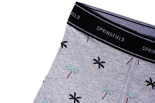 SPRINGFIELD Men's printed boxers - Smgarment's